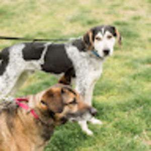 Meet your Posher, Bethany